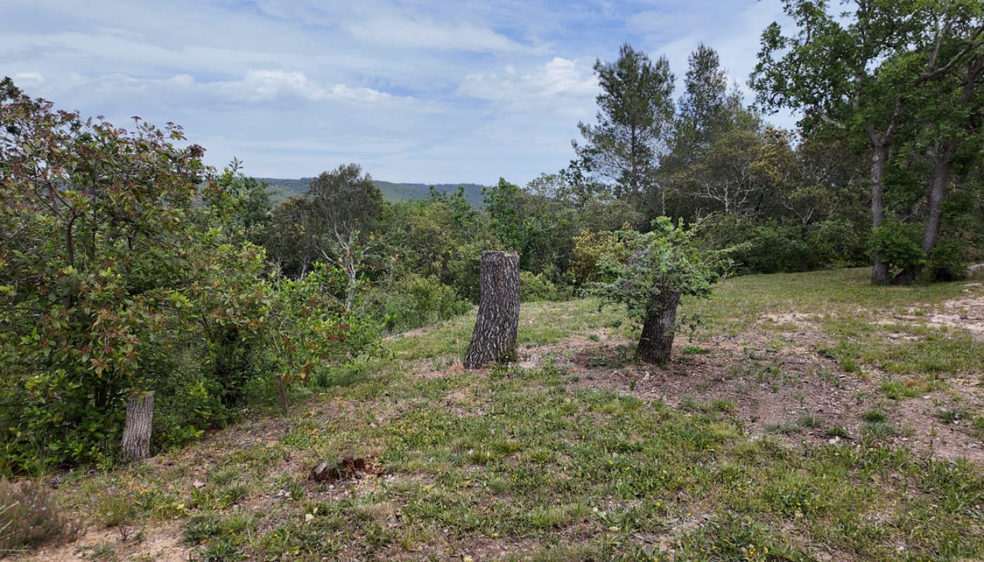 DJI_20260430140807_0129_D