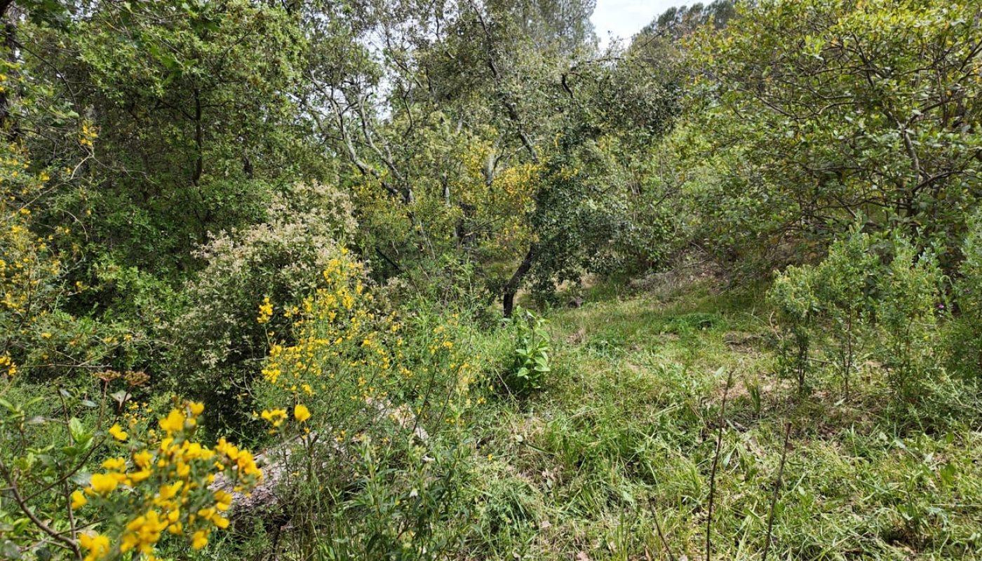 DJI_20260430140856_0133_D