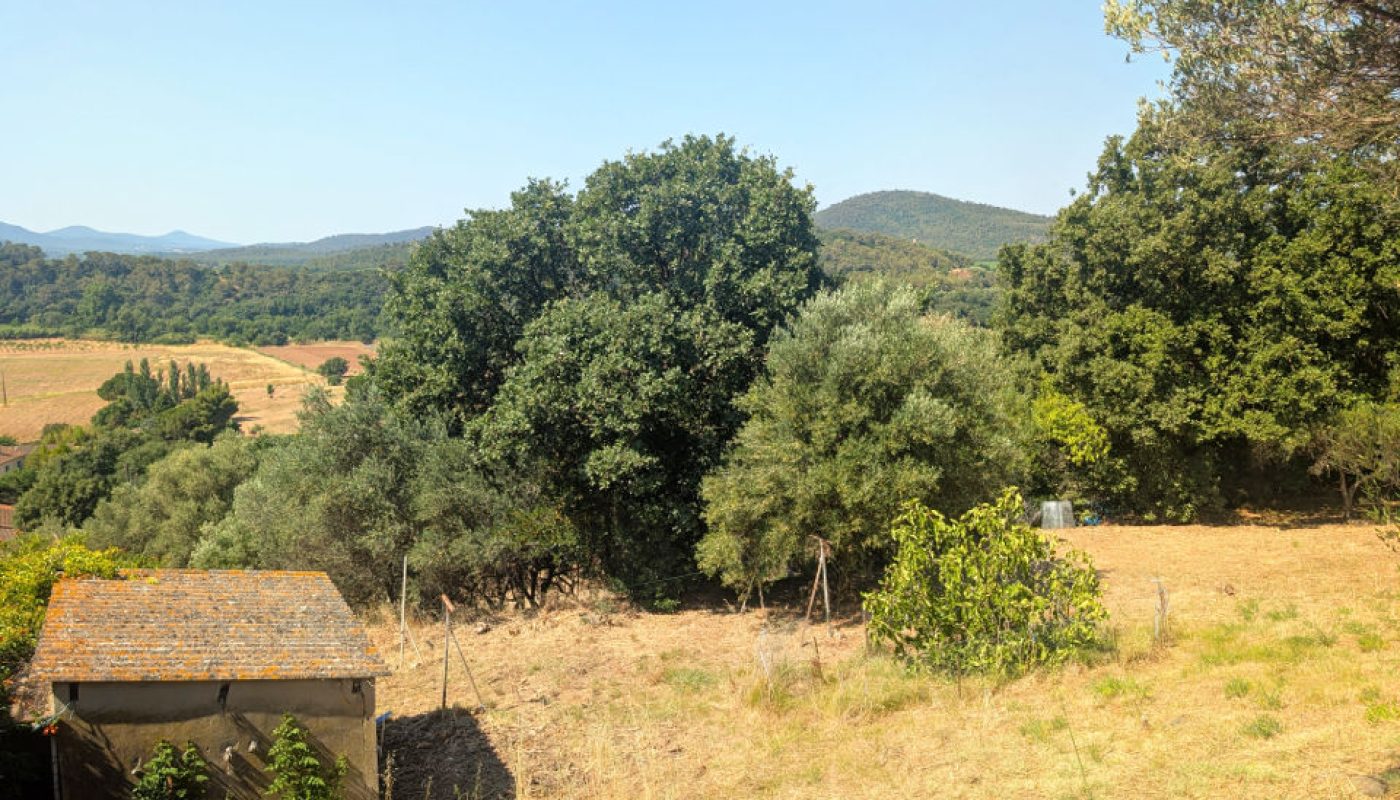 PXL_20260625_085854920