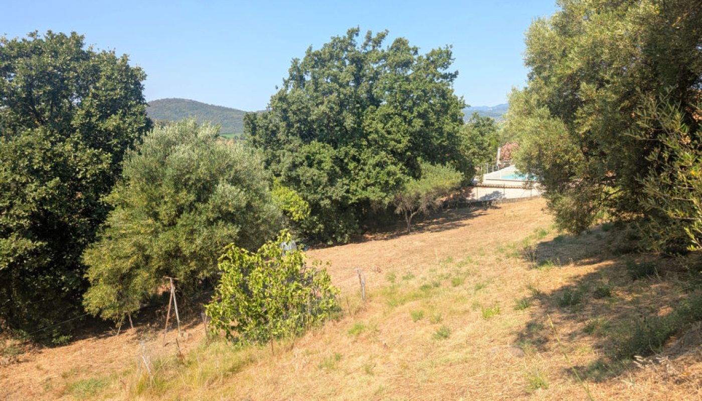 PXL_20260625_085907150
