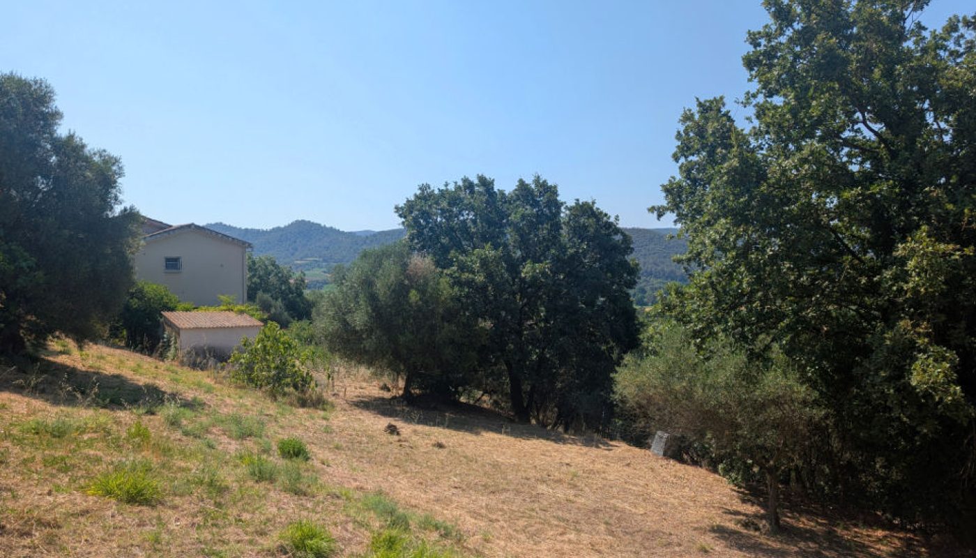 PXL_20260625_085957653
