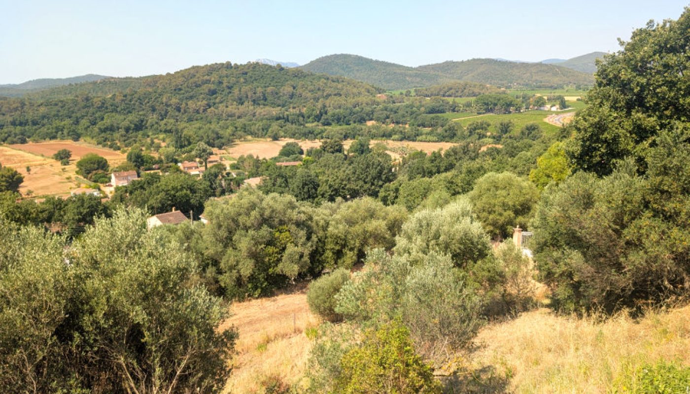 PXL_20260625_090249426